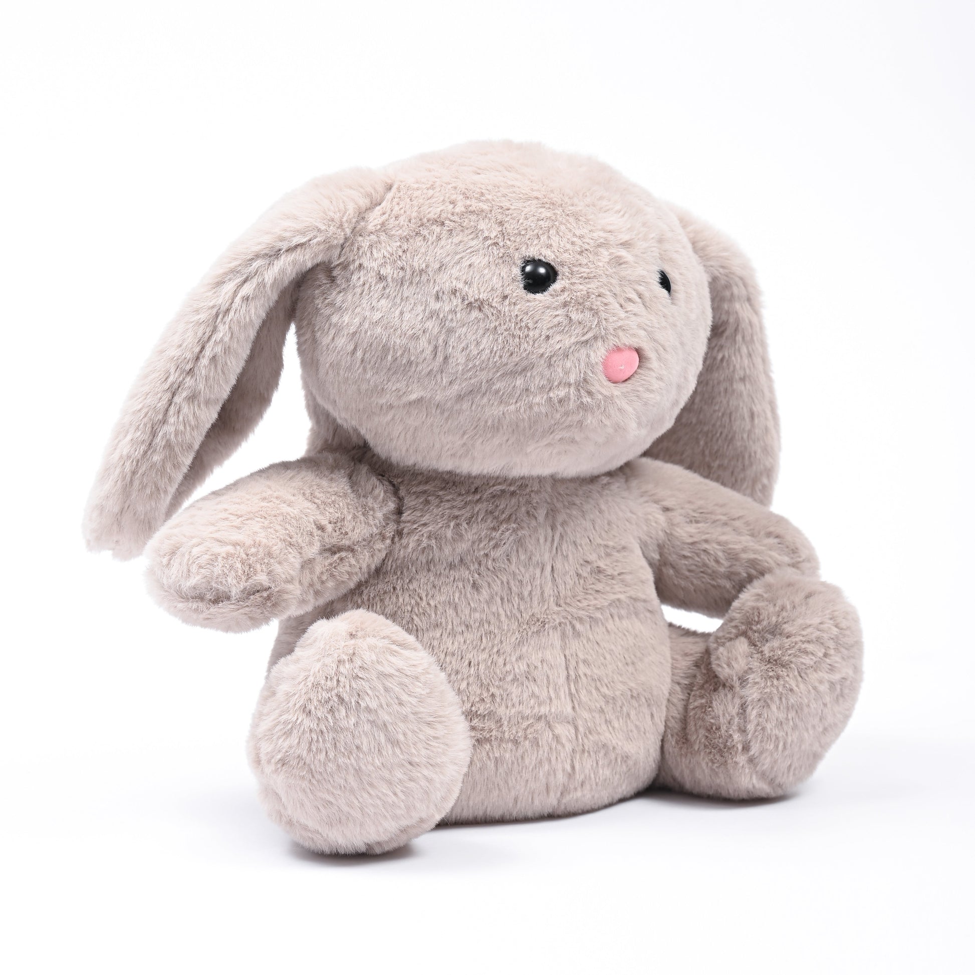 Bunny Bliss: The Ultimate Cuddling Rabbit
