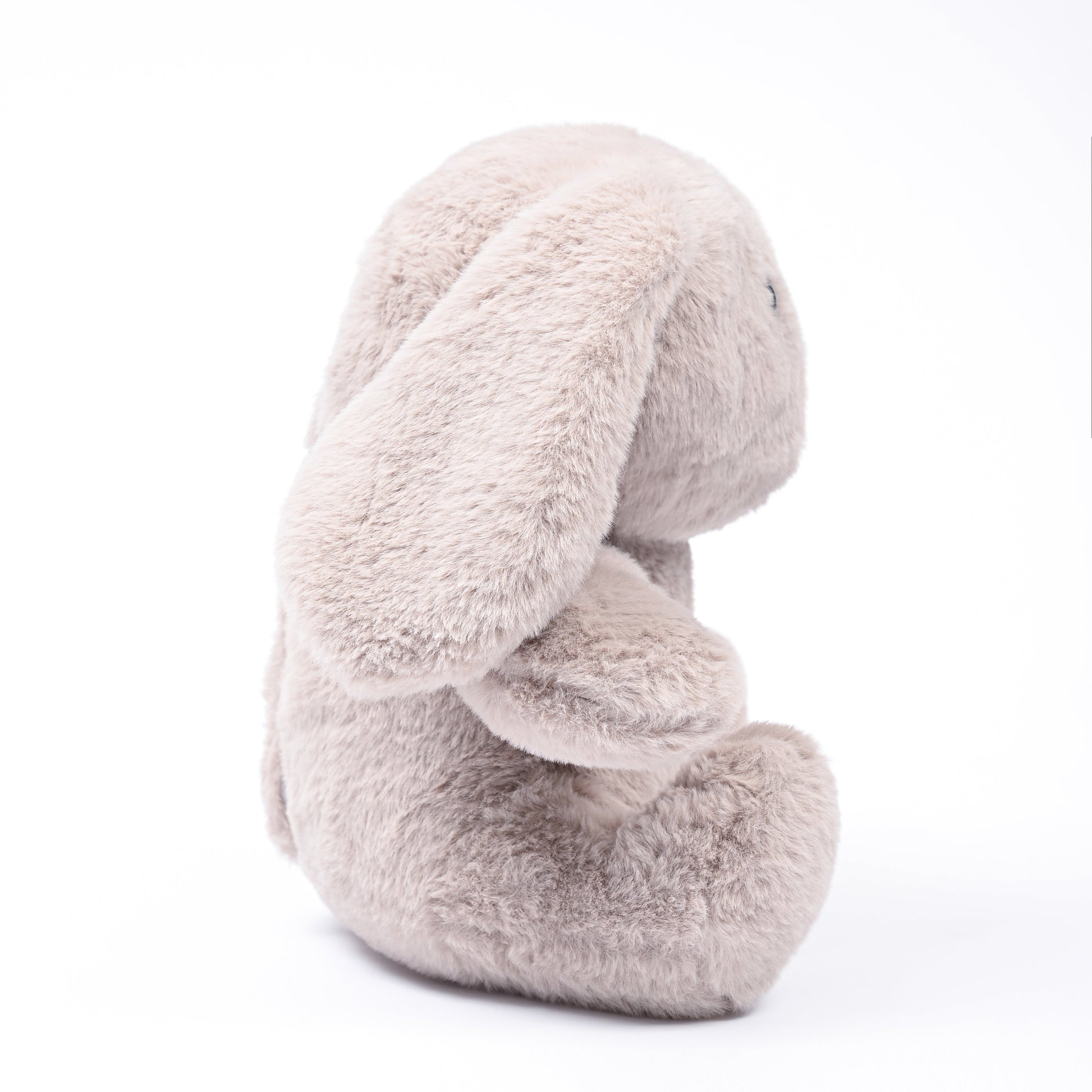Bunny Bliss: The Ultimate Cuddling Rabbit