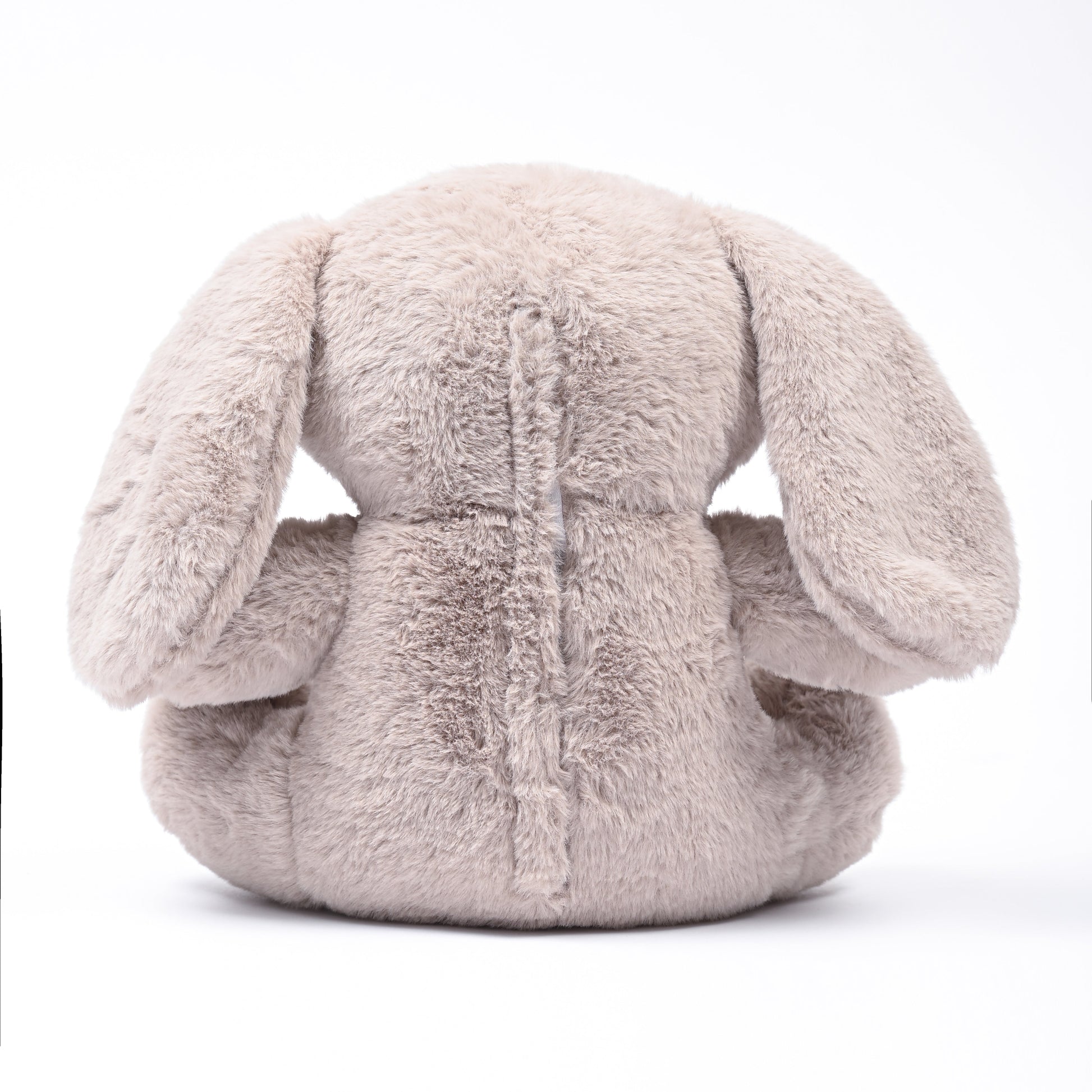 Bunny Bliss: The Ultimate Cuddling Rabbit