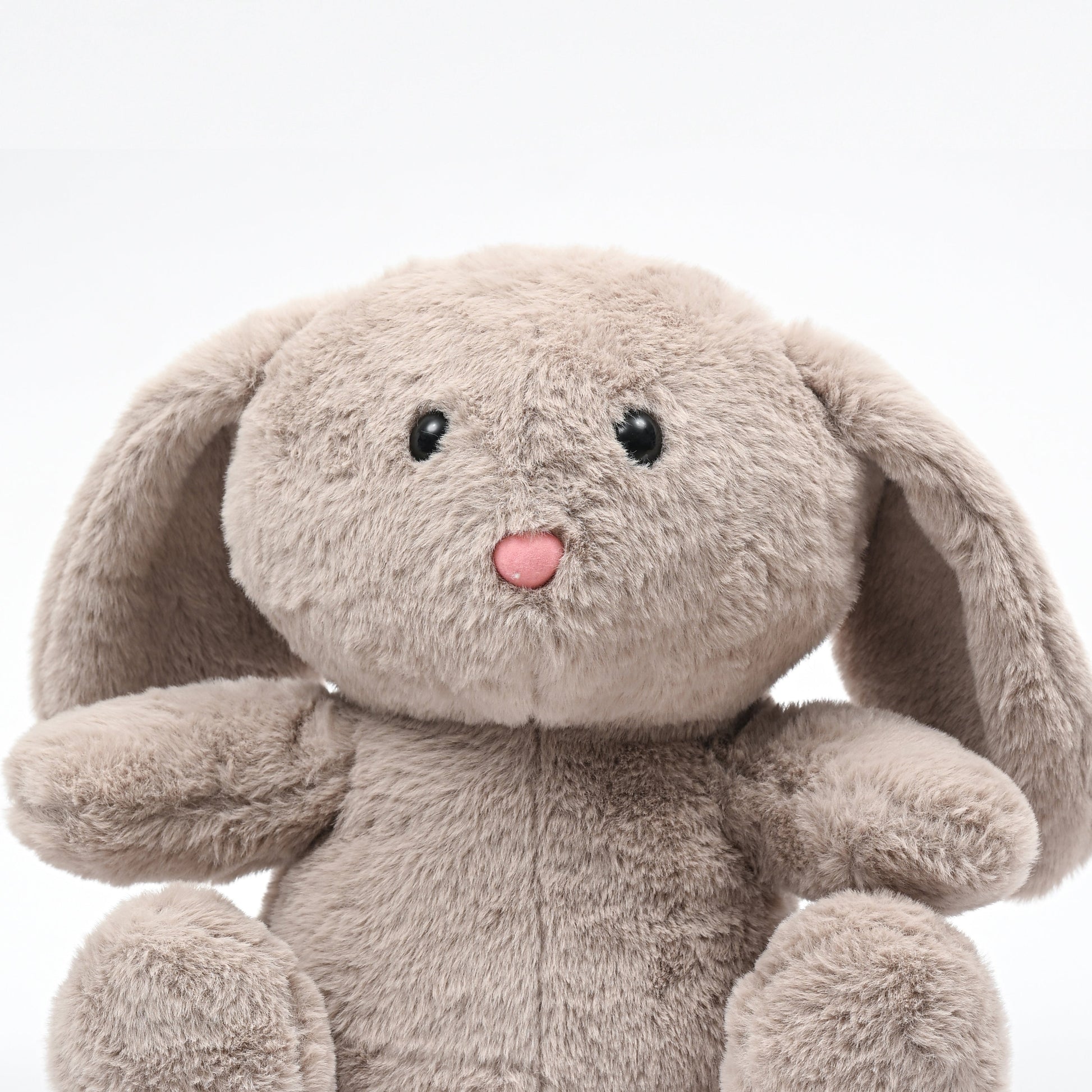 Bunny Bliss: The Ultimate Cuddling Rabbit