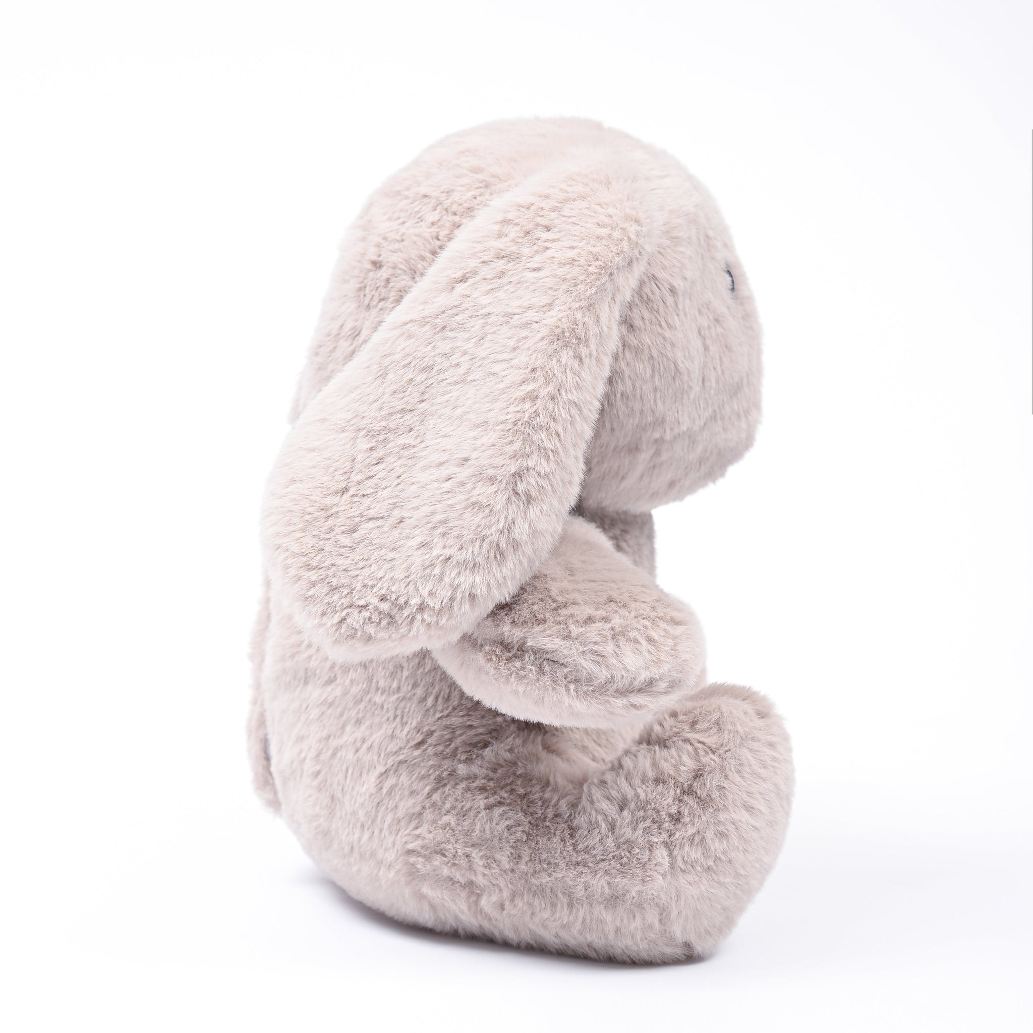 Bunny Bliss: The Ultimate Cuddling Rabbit