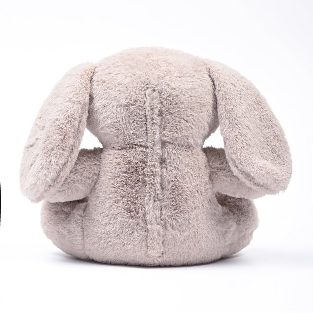 Bunny Bliss: The Ultimate Cuddling Rabbit