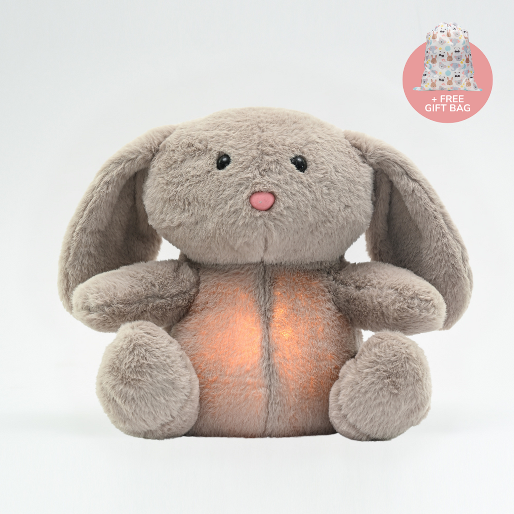 Bunny Bliss: The Ultimate Cuddling Rabbit